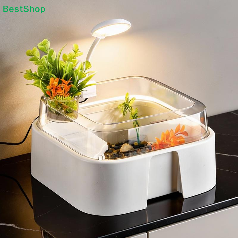 Home Decor Habitat - ♩Transparent Turtle Tank Home Desktop Decoration