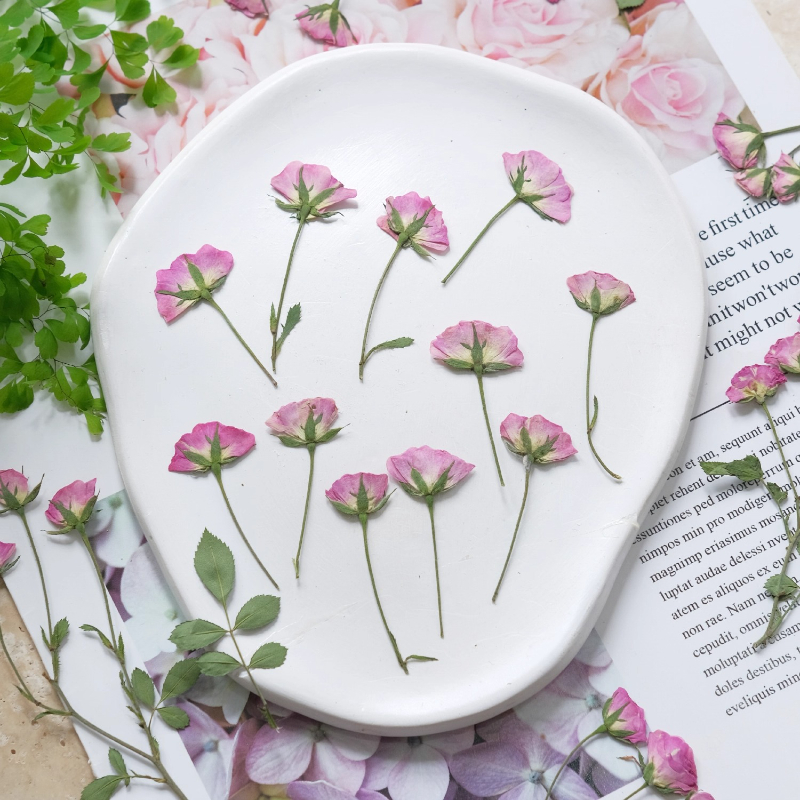 Pressed Flower Frame - 12pcs,Mini Pink Rose Pressed Flowers,Real Rose