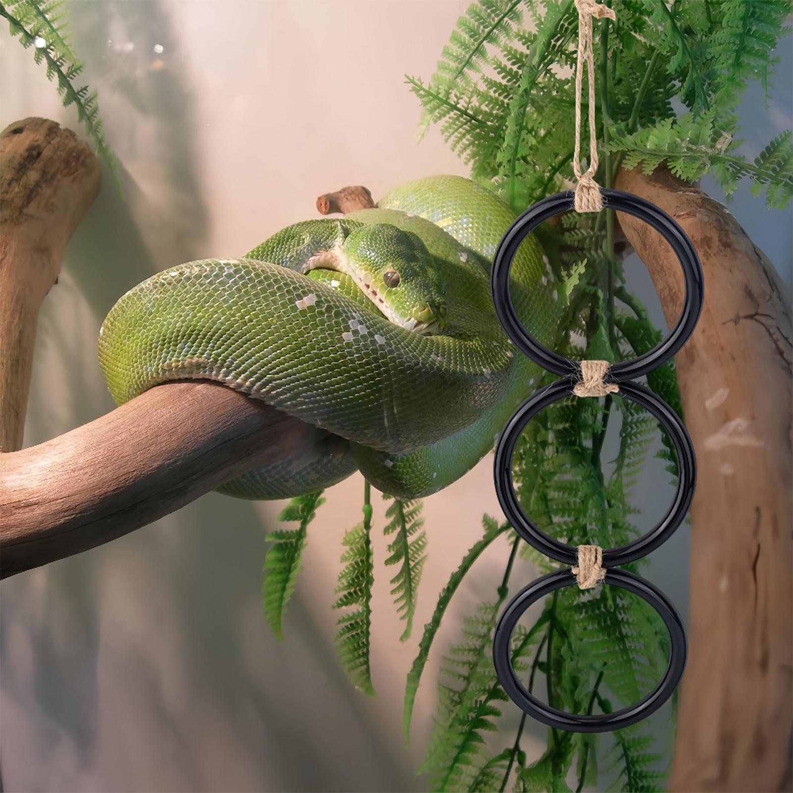 Home Decor Habitat - Snake Climbing Toys Adjustable Rings Decorations