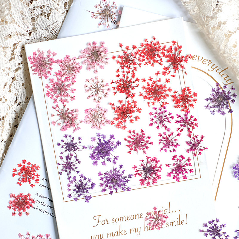 Pressed Flower Frame - 24pcs,2-2.5cm,nature Dyed Mini Lace Pressed Flower