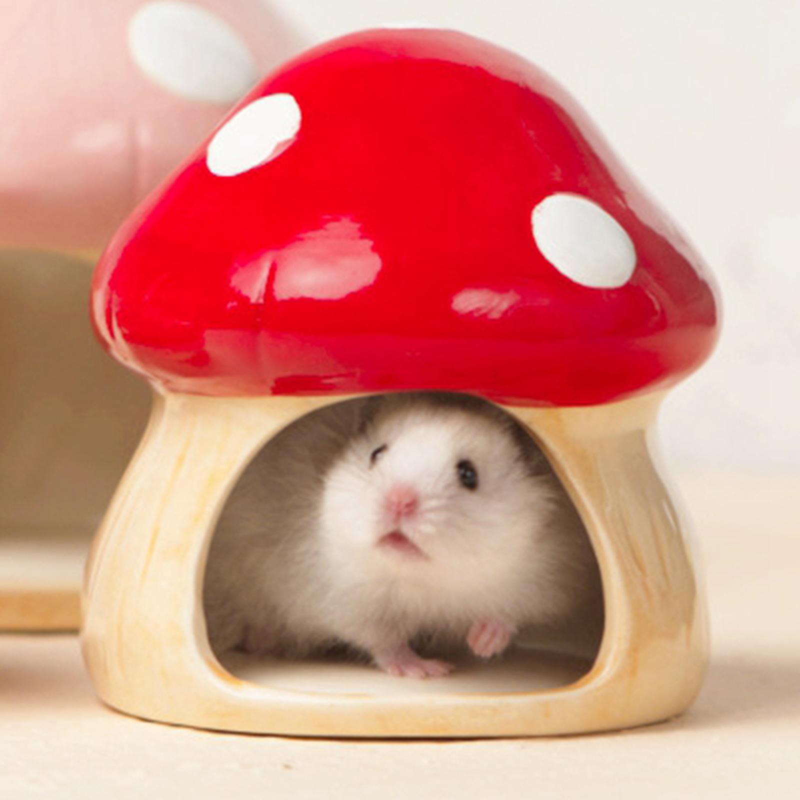 Home Decor Habitat - Ceramic Mushroom Cave Hamster House for