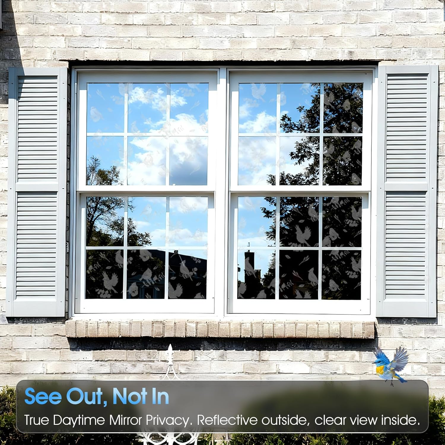 One Way Privacy Window Film fo - Home Decor Free Images 리뷰 및 가격