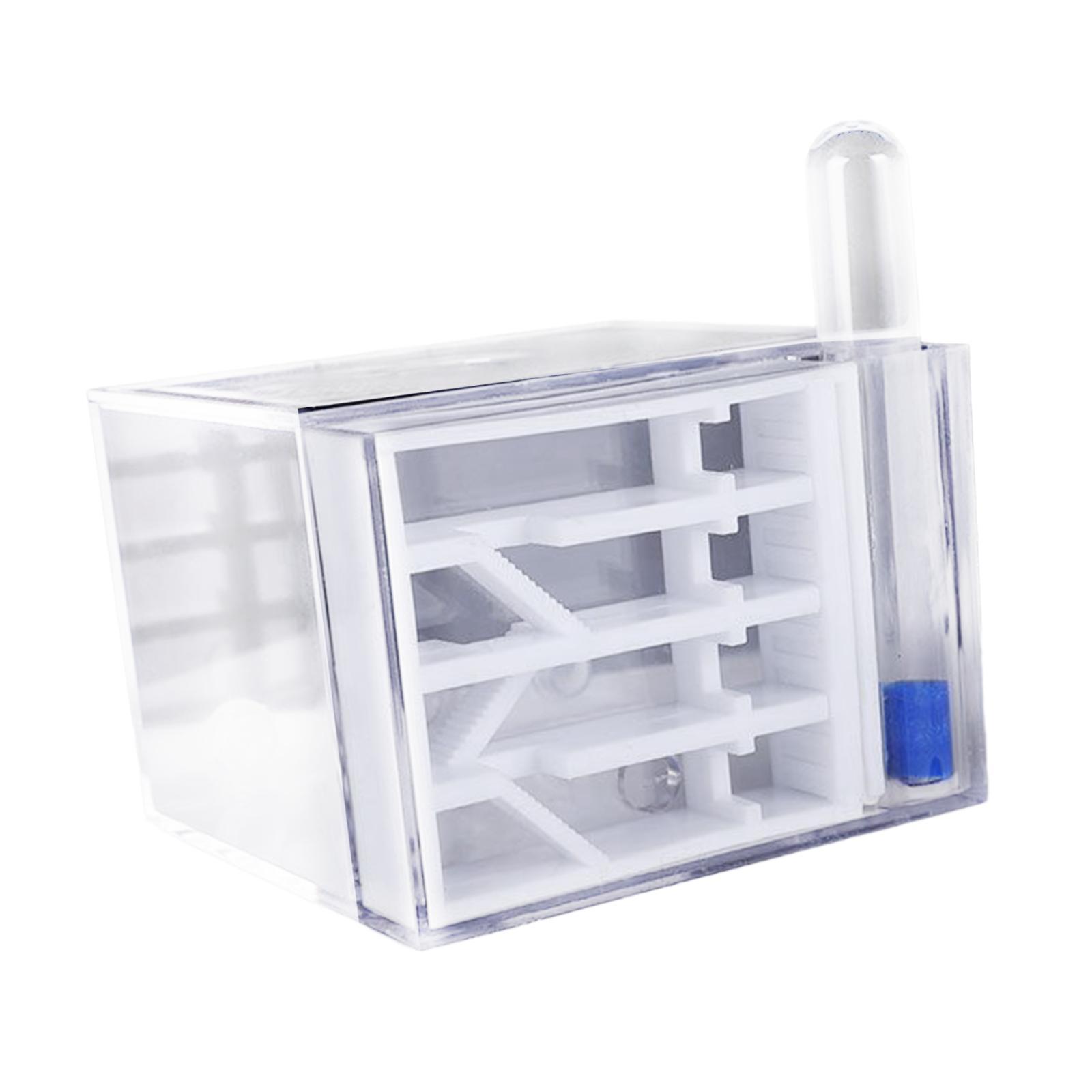 ANT Farm DIY Science Education - Home Decor Habitat 리뷰 및 가격