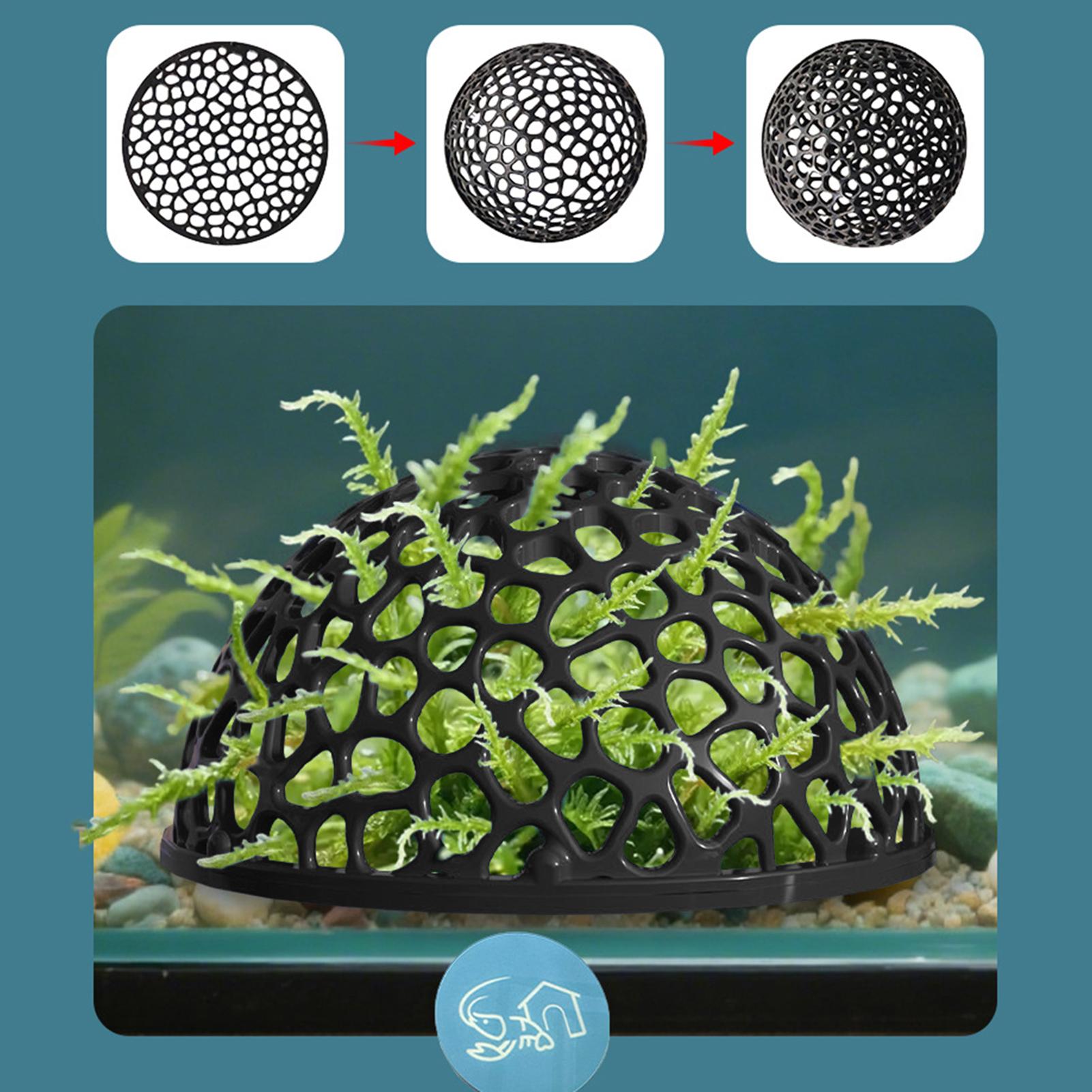 Shrimp Breeding Cave fish tank - Home Decor Habitat 리뷰 및 가격
