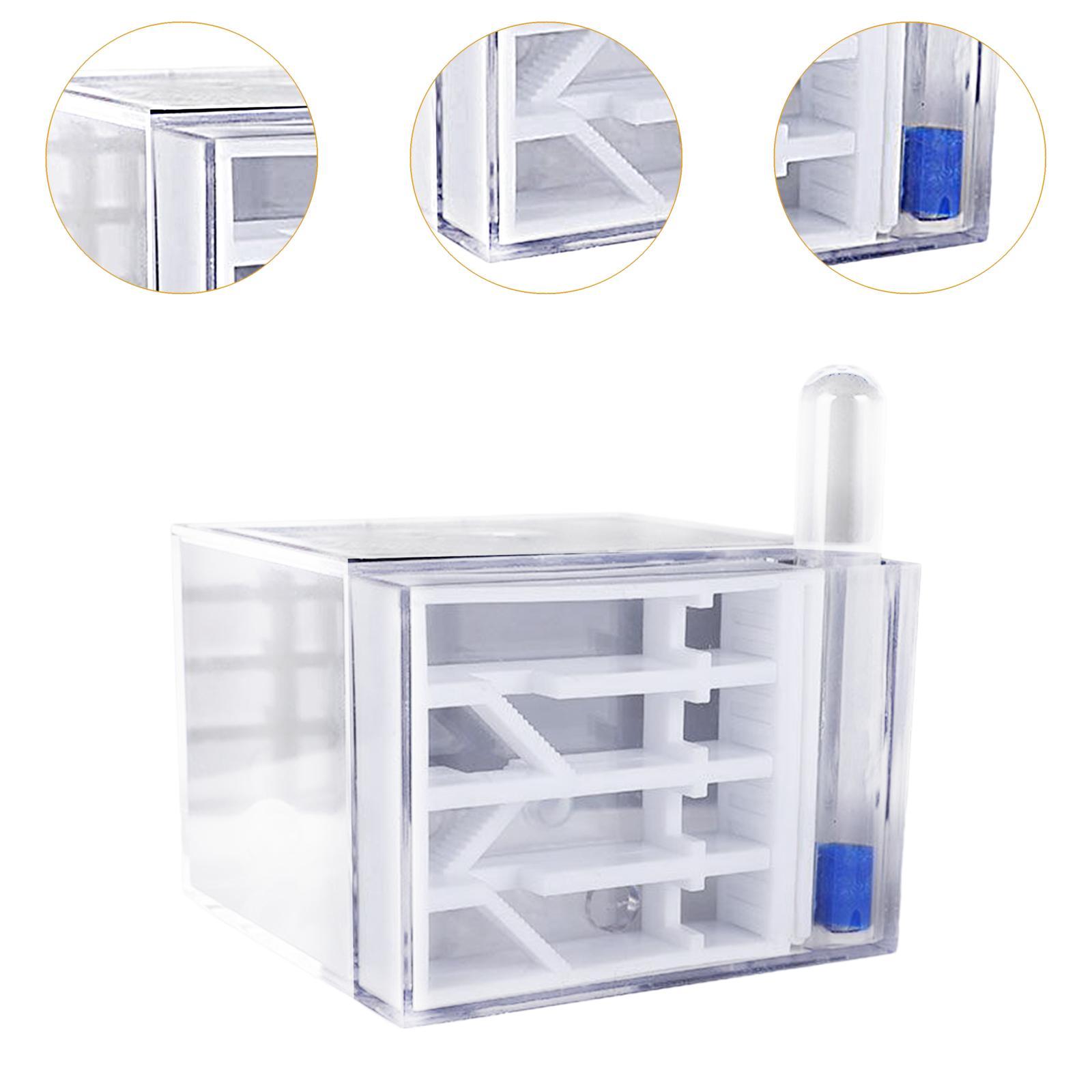 ANT Farm DIY Learning Easy to  - Home Decor Habitat 리뷰 및 가격