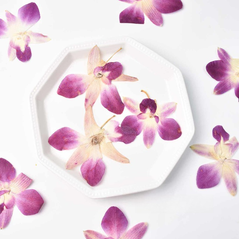 4pcs,Real Pressed Butterfly Or - Pressed Flower Frame 리뷰 및 가격