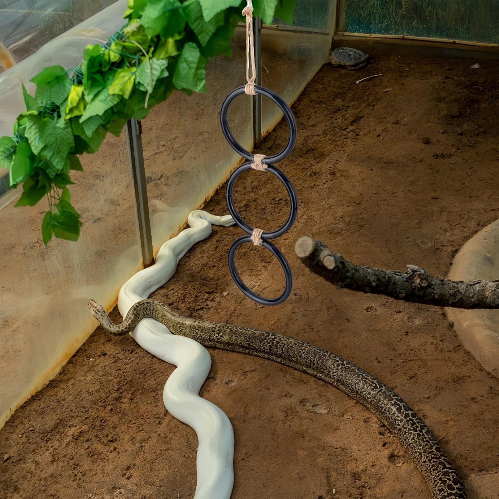 Snake Climbing Toys Adjustable - Home Decor Habitat 리뷰 및 가격
