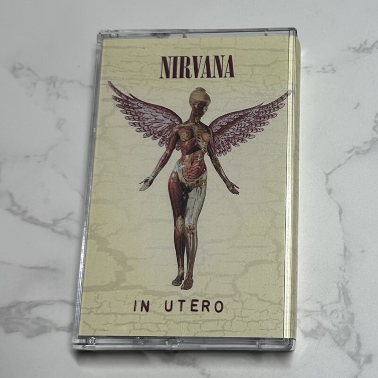 Nirvana Complete Album Collect - Home Decor Collection 리뷰 및 가격