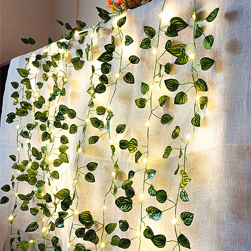 Wedding Decoration Battery Ope - String Curtain Light 리뷰 및 가격