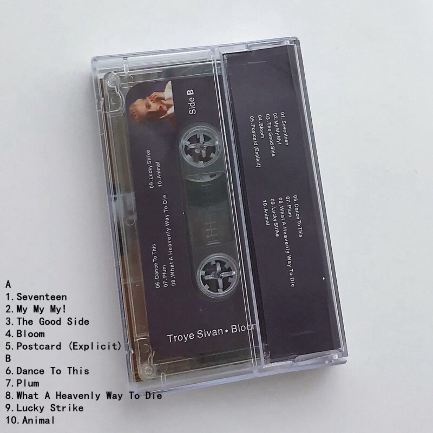 Rare Sealed Troye Sivan Bloom  - Home Decor Collection 리뷰 및 가격