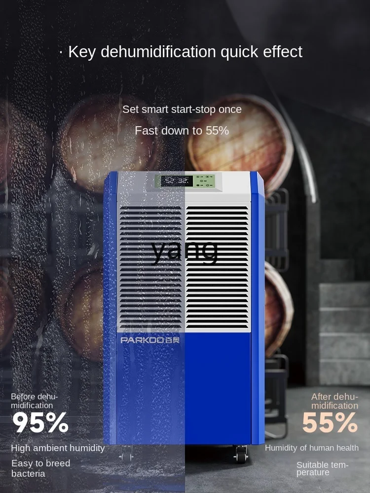 CX Dehumidifier High Power Hom - Home Decor You 리뷰 및 가격